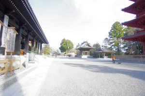 広い境内 広い境内